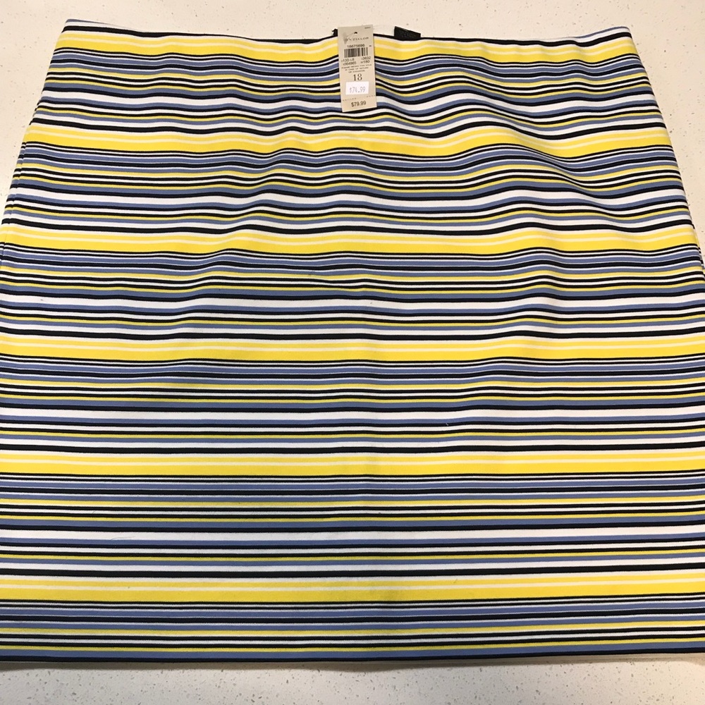 Ann Taylor Stripe Skirt